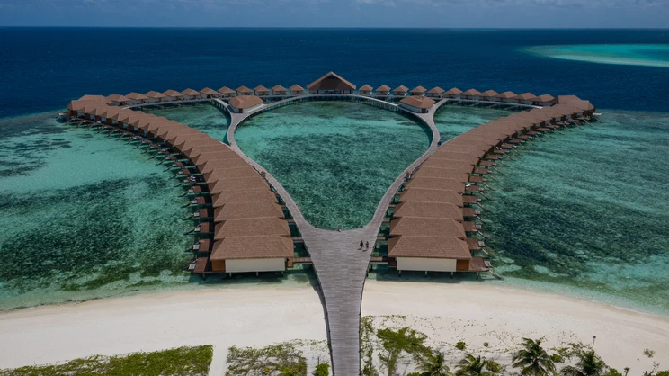 Cinnamon Velifushi